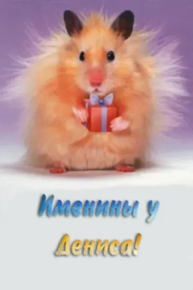 Открытка с пожеланиями Поздравление, красивое пожелание Смешная открытка на стильно, прикольно, коротко, своими словами