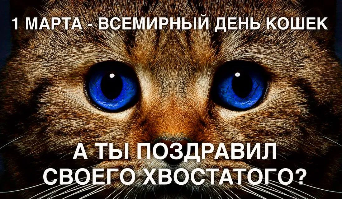 Открытка с пожеланиями Поздравление, красивое пожелание Поздравительная картинка всемирный стильно, прикольно, коротко, своими словами