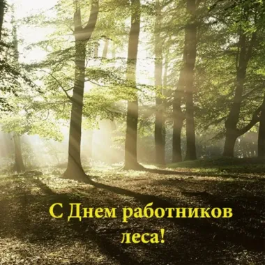 Открытка с пожеланиями Поздравление, красивое пожелание Картинка в день стильно, прикольно, коротко, своими словами