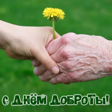 Открытка с пожеланиями Поздравление, красивое пожелание Трогательная картинка с стильно, прикольно, коротко, своими словами