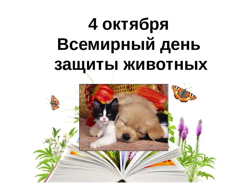 Открытка с пожеланиями Поздравление, красивое пожелание Картина со всемирный м днем стильно, прикольно, коротко, своими словами