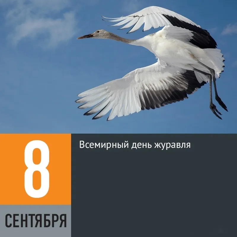 Открытка с пожеланиями Поздравление, красивое пожелание Открытка со всемирным стильно, прикольно, коротко, своими словами