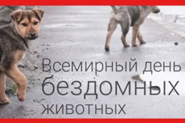 Открытка с пожеланиями Поздравление, красивое пожелание Картинка со всемирным днем стильно, прикольно, коротко, своими словами