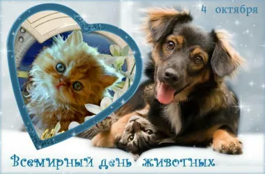 Открытка с пожеланиями Поздравление, красивое пожелание Добрая картинка всемирный стильно, прикольно, коротко, своими словами