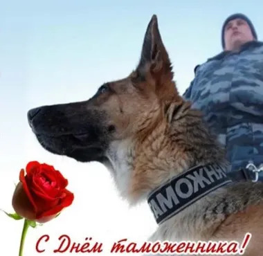 Открытка с пожеланиями Поздравление, красивое пожелание Открытка красивая в стильно, прикольно, коротко, своими словами