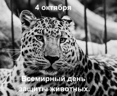 Открытка с пожеланиями Поздравление, красивое пожелание Картинка всемирный день стильно, прикольно, коротко, своими словами