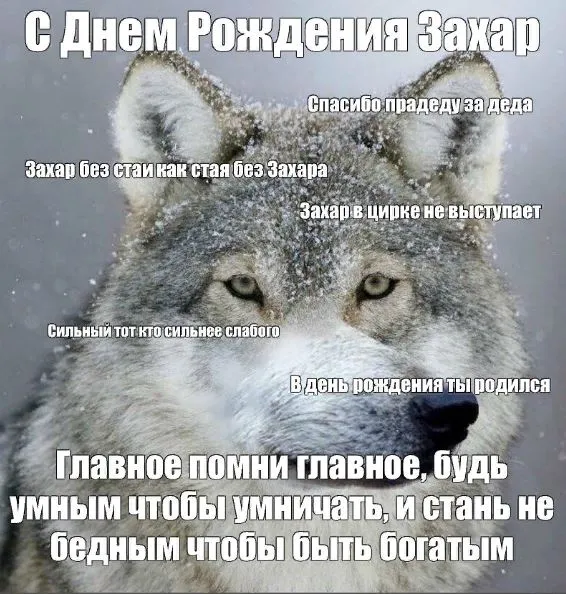 Открытка с пожеланиями Поздравление, красивое пожелание Красивая открытка в день стильно, прикольно, коротко, своими словами