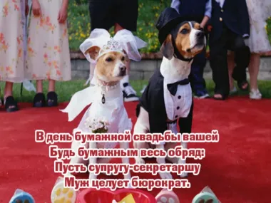 Открытка с пожеланиями Поздравление, красивое пожелание Картинка смешная с пожеланием на стильно, прикольно, коротко, своими словами