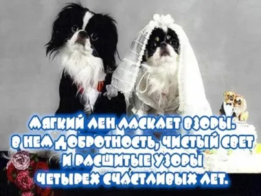 Открытка с пожеланиями Поздравление, красивое пожелание Смешная открытка на стильно, прикольно, коротко, своими словами