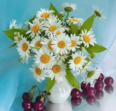 Открытка с пожеланиями Поздравление, красивое пожелание Картинки ромашки стильно, прикольно, коротко, своими словами