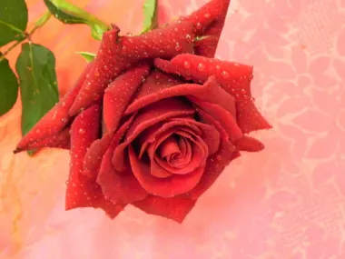 Открытка с пожеланиями Поздравление, красивое пожелание Картинка с стильно, прикольно, коротко, своими словами