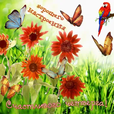 Открытка с пожеланиями Поздравление, красивое пожелание  стильно, прикольно, коротко, своими словами