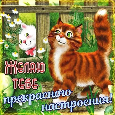 Открытка с пожеланиями Поздравление, красивое пожелание Желаю стильно, прикольно, коротко, своими словами