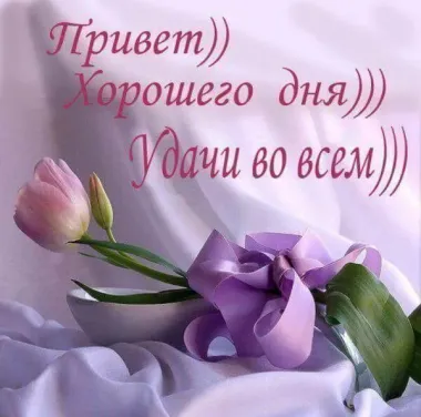 Открытка с пожеланиями Поздравление, красивое пожелание Привет! стильно, прикольно, коротко, своими словами