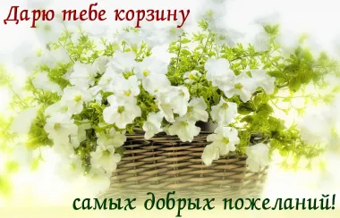 Открытка с пожеланиями Поздравление, красивое пожелание Дарю тебе корзину стильно, прикольно, коротко, своими словами