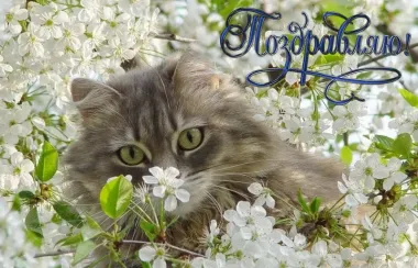 Открытка с пожеланиями Поздравление, красивое пожелание  стильно, прикольно, коротко, своими словами