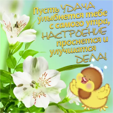 Открытка с пожеланиями Поздравление, красивое пожелание  стильно, прикольно, коротко, своими словами