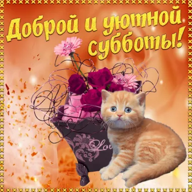 Открытка с пожеланиями Поздравление, красивое пожелание Доброй и стильно, прикольно, коротко, своими словами