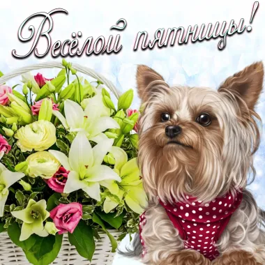 Открытка с пожеланиями Поздравление, красивое пожелание  стильно, прикольно, коротко, своими словами