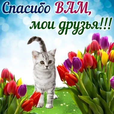 Открытка с пожеланиями Поздравление, красивое пожелание  стильно, прикольно, коротко, своими словами