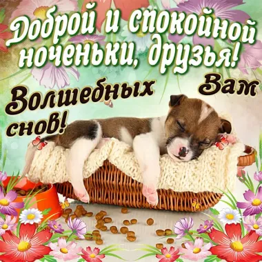 Открытка с пожеланиями Поздравление, красивое пожелание Доброй и стильно, прикольно, коротко, своими словами