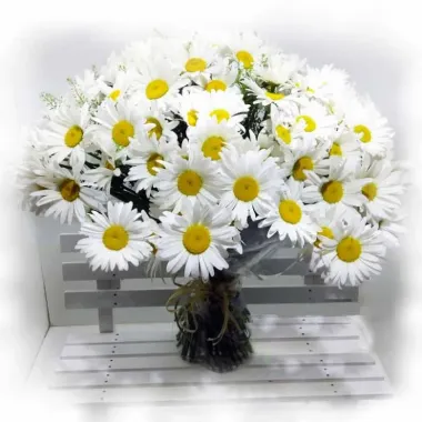 Открытка с пожеланиями Поздравление, красивое пожелание Картинка ромашки стильно, прикольно, коротко, своими словами