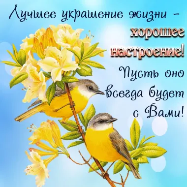 Открытка с пожеланиями Поздравление, красивое пожелание Пожелание стильно, прикольно, коротко, своими словами