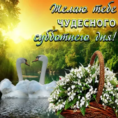 Открытка с пожеланиями Поздравление, красивое пожелание Чудесного стильно, прикольно, коротко, своими словами