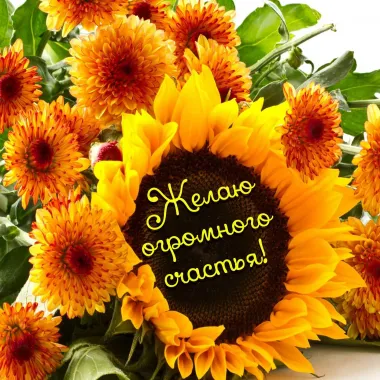 Открытка с пожеланиями Поздравление, красивое пожелание Желаю стильно, прикольно, коротко, своими словами