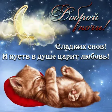 Открытка с пожеланиями Поздравление, красивое пожелание Доброй ночи! стильно, прикольно, коротко, своими словами