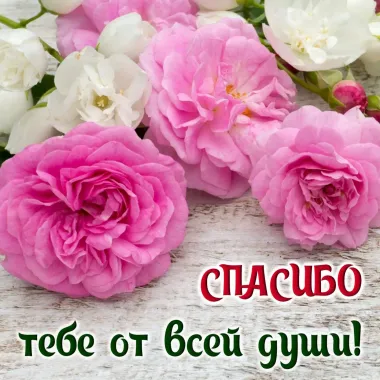 Открытка с пожеланиями Поздравление, красивое пожелание Спасибо от стильно, прикольно, коротко, своими словами