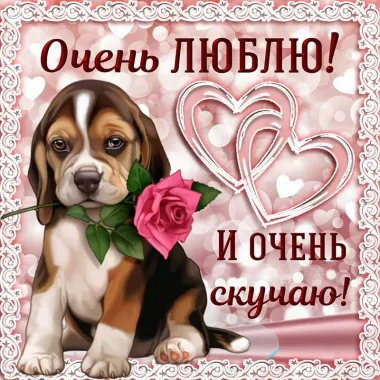 Открытка с пожеланиями Поздравление, красивое пожелание  стильно, прикольно, коротко, своими словами