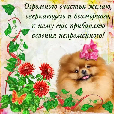 Открытка с пожеланиями Поздравление, красивое пожелание  стильно, прикольно, коротко, своими словами