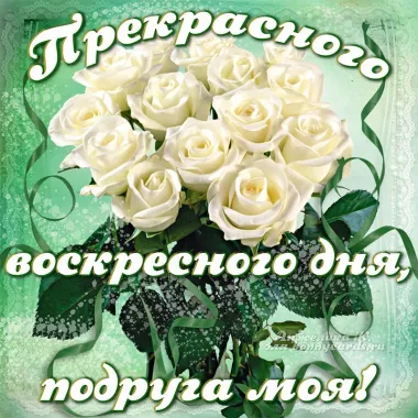 Открытка с пожеланиями Поздравление, красивое пожелание  стильно, прикольно, коротко, своими словами