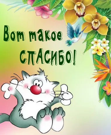 Открытка с пожеланиями Поздравление, красивое пожелание Вот стильно, прикольно, коротко, своими словами