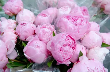 Открытка с пожеланиями Поздравление, красивое пожелание Открытка с стильно, прикольно, коротко, своими словами