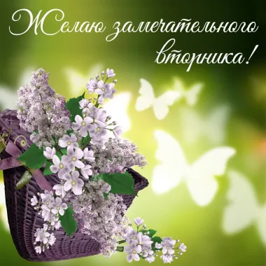 Открытка с пожеланиями Поздравление, красивое пожелание  стильно, прикольно, коротко, своими словами