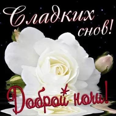 Открытка с пожеланиями Поздравление, красивое пожелание Сладких снов! стильно, прикольно, коротко, своими словами