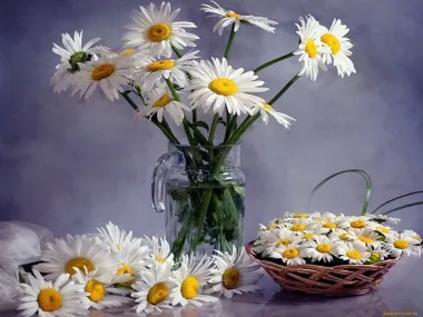 Открытка с пожеланиями Поздравление, красивое пожелание Открытка ромашки стильно, прикольно, коротко, своими словами