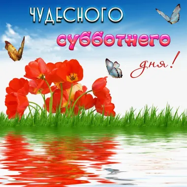 Открытка с пожеланиями Поздравление, красивое пожелание Чудесного стильно, прикольно, коротко, своими словами