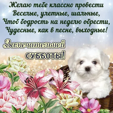 Открытка с пожеланиями Поздравление, красивое пожелание  стильно, прикольно, коротко, своими словами