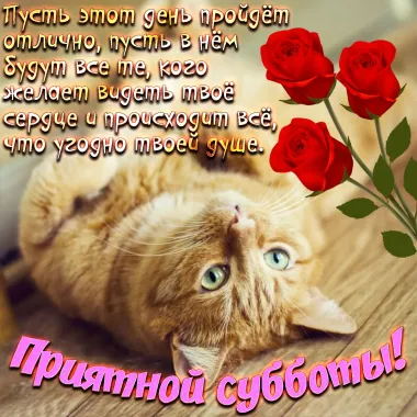 Открытка с пожеланиями Поздравление, красивое пожелание  стильно, прикольно, коротко, своими словами