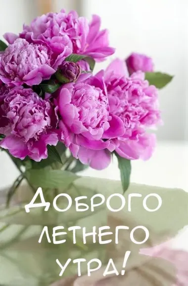 Открытка с пожеланиями Поздравление, красивое пожелание Картинка с пионами в доброе стильно, прикольно, коротко, своими словами