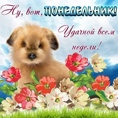 Открытка с пожеланиями Поздравление, красивое пожелание Скачать стильно, прикольно, коротко, своими словами