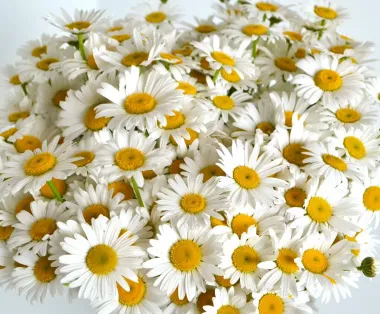 Открытка с пожеланиями Поздравление, красивое пожелание Картинки стильно, прикольно, коротко, своими словами