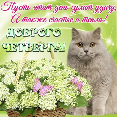 Открытка с пожеланиями Поздравление, красивое пожелание  стильно, прикольно, коротко, своими словами