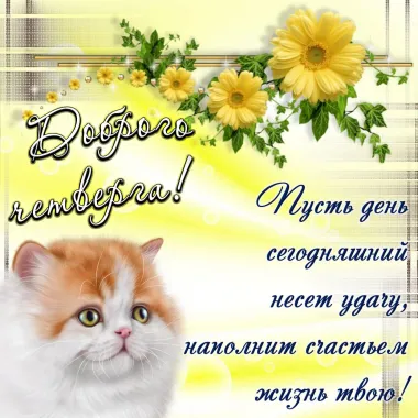 Открытка с пожеланиями Поздравление, красивое пожелание  стильно, прикольно, коротко, своими словами