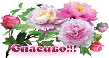 Открытка с пожеланиями Поздравление, красивое пожелание Картинка с пионами и стильно, прикольно, коротко, своими словами