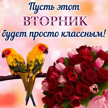 Открытка с пожеланиями Поздравление, красивое пожелание Пожелание стильно, прикольно, коротко, своими словами