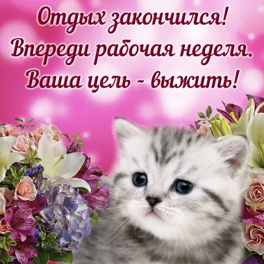 Открытка с пожеланиями Поздравление, красивое пожелание Впереди стильно, прикольно, коротко, своими словами